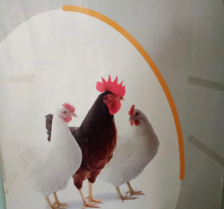 Alema Farm’s PLC poultry
